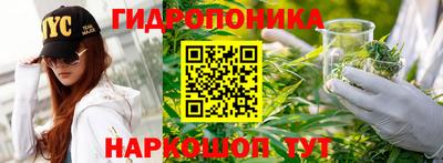 гидра Изобильный