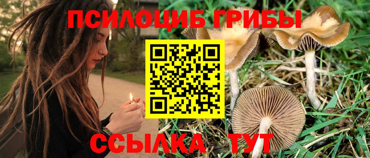 Галлюциногенные грибы MAGIC MUSHROOMS  продажа наркотиков  Лысьва  Вход с VPN 